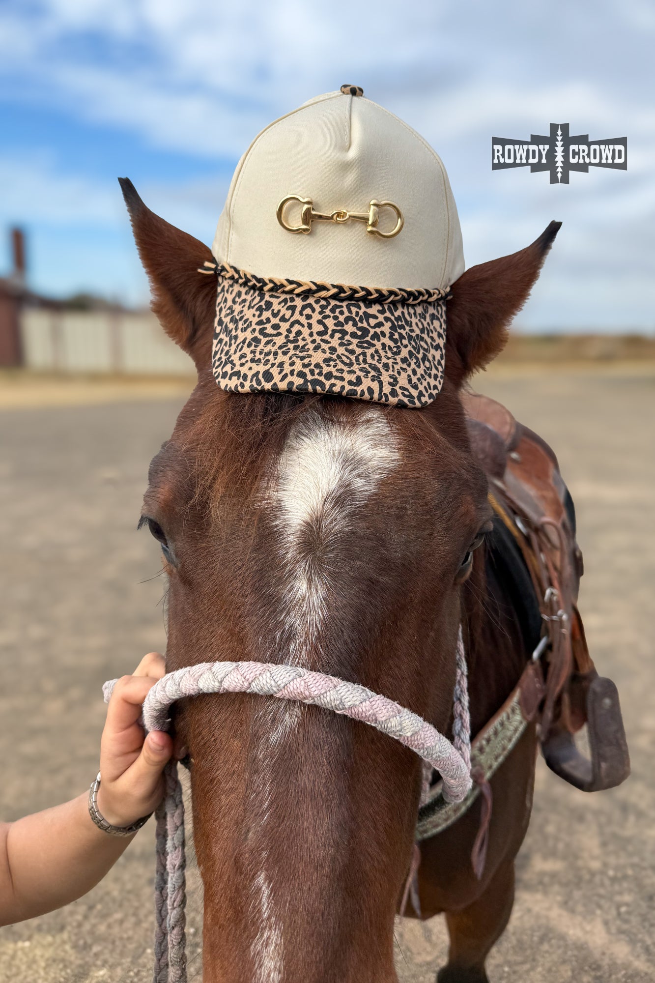 Wild & Free Cap